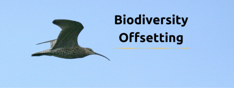 Biodiversity Offsetting And Net Gain | Greater Manchester Environment Fund